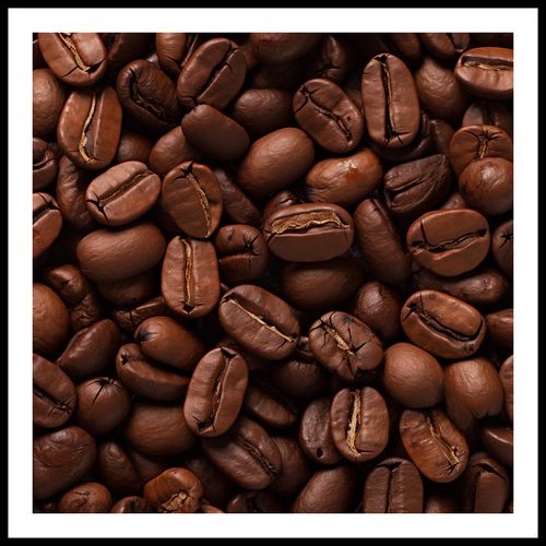 Plakat 90x90cm Esencja Aromatu na Arena.pl