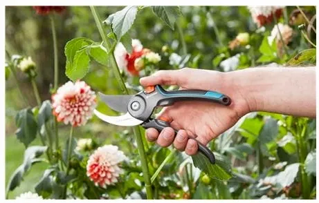 Sekator nożyce ogrodowy GARDENA Classic B/S-M zdjęcie 3