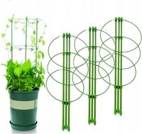 Podpórka do Kwiatów Podpora dla Roślin Doniczkowych na Kwiatka DUŻA 61cm 3x