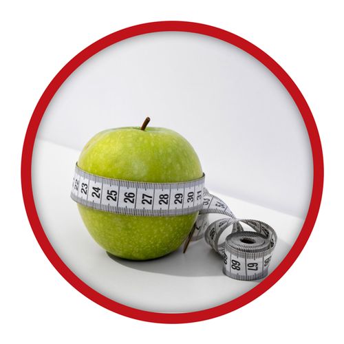 BERBERYNA HCL 500mg 90 kaps BERBERINE ODCHUDZANIE CUKRZYCA WEGE TRUE HEALTH na Arena.pl