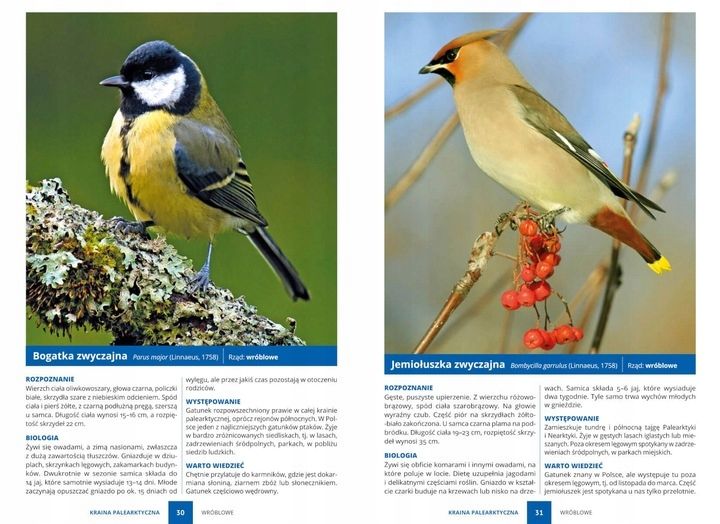 PTAKI ŚWIAT ATLAS PTAKÓW ŚWIATA 250 GATUNKÓW TWARDA OPRAWA KSIĄŻKA PREZENT zdjęcie 2