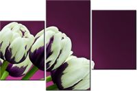60 90CM OBRAZ 3 ELEM FIOLETOWE TULIPANY ŚCIENNY DRUK PŁÓTNO