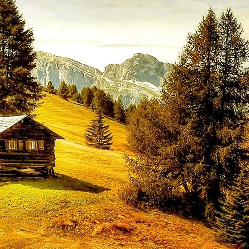 Obraz na płótnie - Canvas, Domek w górach 60x40 na Arena.pl