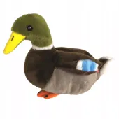 Kaczka krzyżówka pluszak 28 cm Beppe