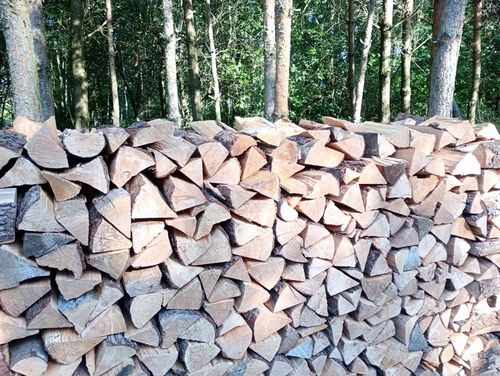 Drewno Buk WEDZENIE ROZPAŁKA kominek OGNISKO SUCHE worek 15kg na Arena.pl