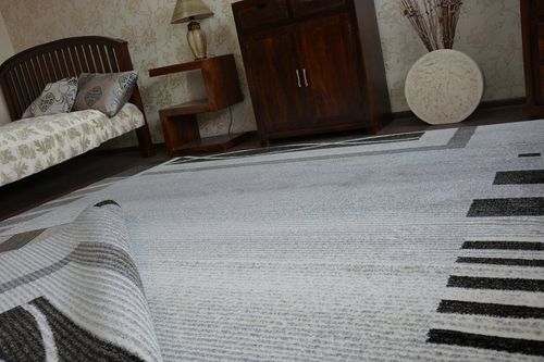 Dywan SHADOW 8597 silver 200x290 cm na Arena.pl