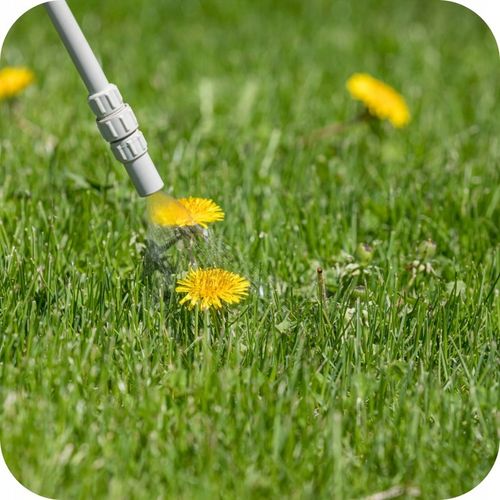 ROUNDUP DYNAMIC 1L OPRYSK NA CHWASTY RANDAP MOCNIEJSZA FORMUŁA na Arena.pl