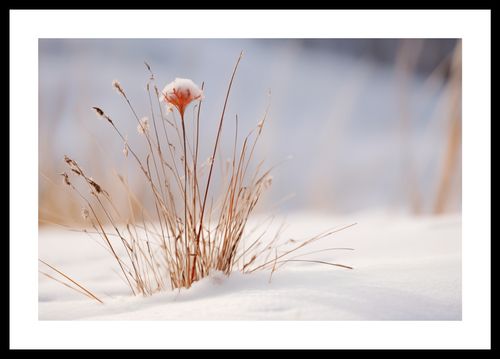 Plakat 45x30cm Zima w Detalach na Arena.pl