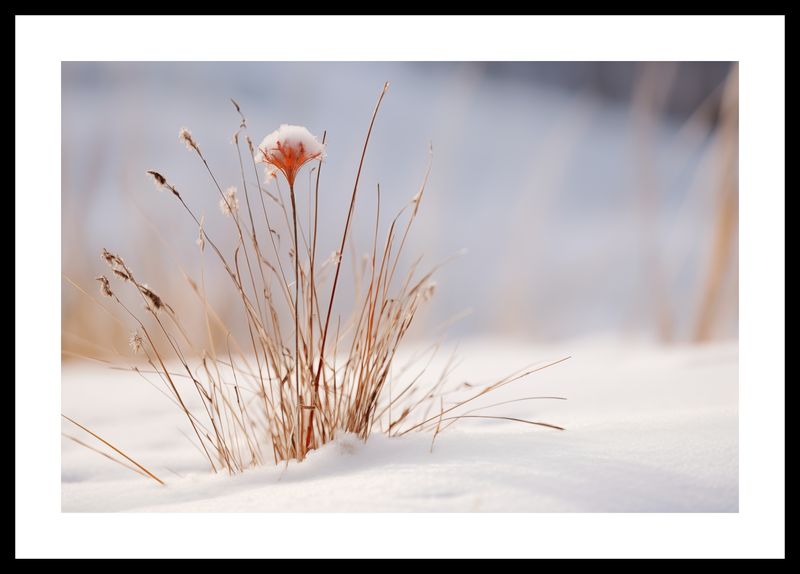 Plakat 45x30cm Zima w Detalach zdjęcie 3