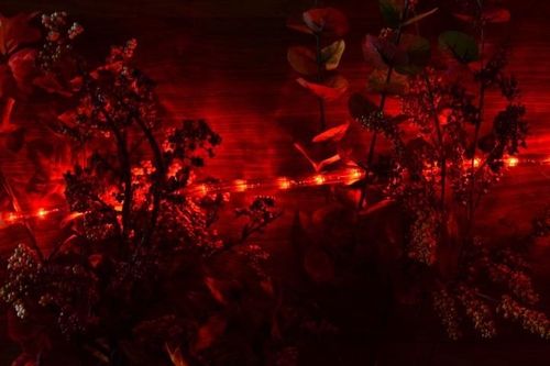 LED świetlny kabel - 240 diod, 10 m, czerwony na Arena.pl