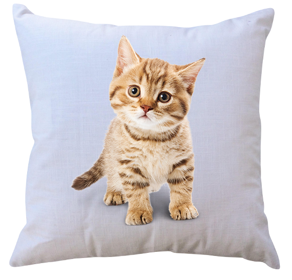 Poduszka Koty zdjęcie 1