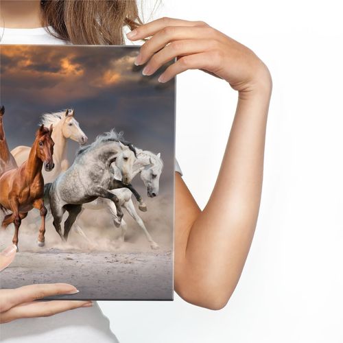 Obraz Na Płótnie Do Salonu Konie Na Pustyni 100cm x 70cm na Arena.pl