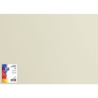 karton top b1 225g 400150253 93 jasnoszary 6629