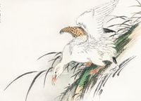 Plakat 18x13cm Albatross, Kashu Japoński Vintage do Salonu