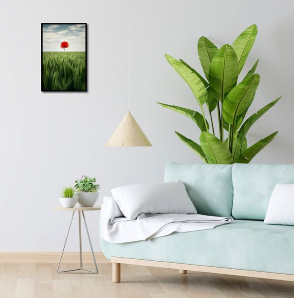 Plakat 30x45cm Samotny Mak na Polu zdjęcie 4