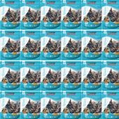 Saszetki dla kota Super Benek Urinary 24x100g