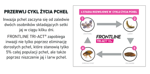 frontline tri-act dla psów 3x1ml na Arena.pl
