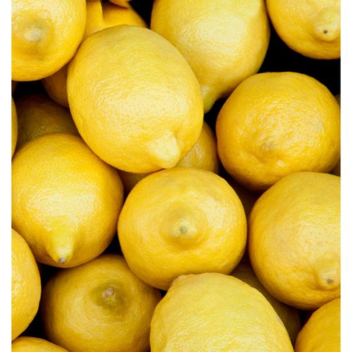 Yodeyma L’eau De Berlue Woda Perfumowana Dla Kobiet 100ml na Arena.pl