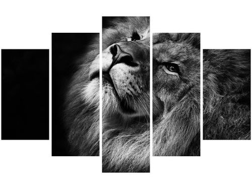 70 100CM OBRAZ 5 ELEM SREBRNY LEW DRUK PŁÓTNO na Arena.pl