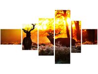 100CM 180CM OBRAZ 6 ELEM RYKOWISKO ŚCIENNY