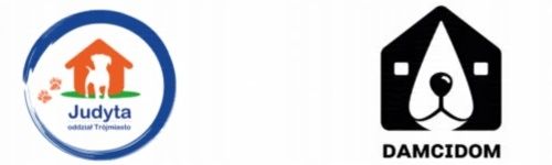 Olejek CBD 5% | Dla Psa | Dla Kota 500mg 11ml | Weterynaryjny | BEZ THC na Arena.pl