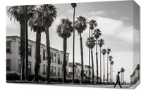 Obraz 60x40cm Spacer w Cieniu Palm