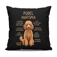Pudel - anatomia - czarna poduszka na prezent z pieskiem