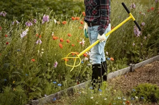 XXL KULTYWATOR SPULCHNIACZ GLEBY RĘCZNY ADLER zdjęcie 11