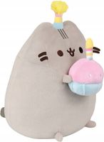 Pusheen z tortem