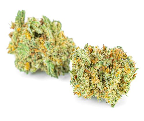 Susz konopny CBD | SUPER SILVER HAZE | 50 g na Arena.pl
