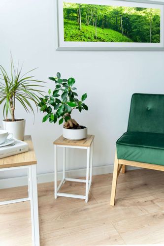 Kwietnik biały ARBEN CRAFT 40 cm na Arena.pl