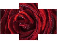 product-compare-58646338