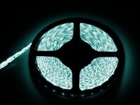 Taśma LED biały zimny 5050 5m/300wodoodporna