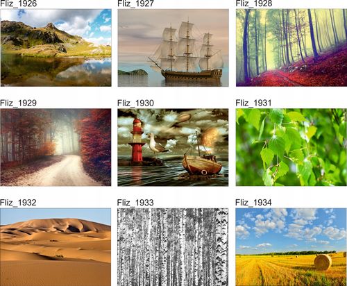 FOTOTAPETA KRAJOBRAZ TRAWA WIDOK ZIELONA TRAWA na Arena.pl