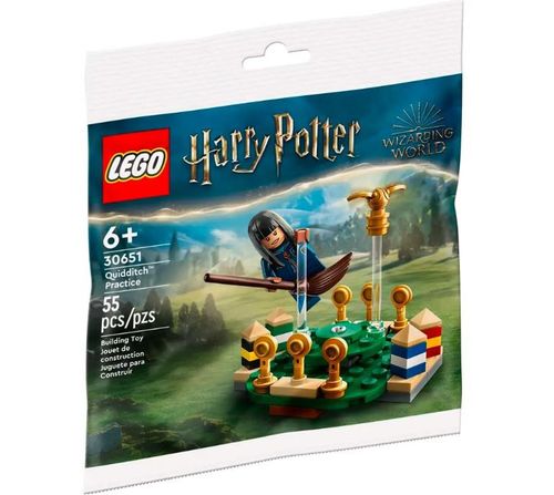 Klocki Harry Potter 30651 Trening Quidditcha na Arena.pl