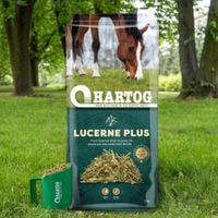Sieczka Hartog Lucerna Plus Olej lniany 15 kg sieczka dla koni z olejem