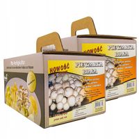 ŻYWA GRZYBNIA PIECZARKI Pieczarka Biała Grzybnia HODOWLA w DOMU DUŻE OPAK.