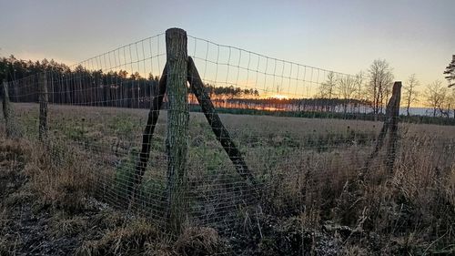 Siatka leśna - 120/20/15 G16 - 50 m na Arena.pl