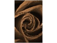 product-compare-58649887