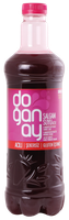 DOGANAY Salgam Suyu 300ml – Pikantny turecki napój z czarnej rzepy
