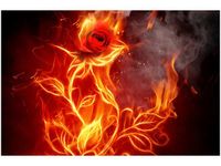 product-compare-58710316