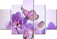 105CM 150CM OBRAZ 5 ELEM DELIKATNA PIĘKNOŚĆ DRUK