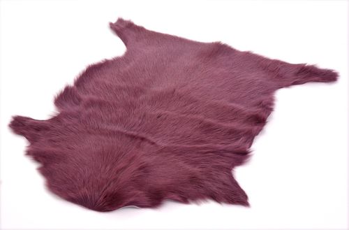 Dywan Goat 60x70cm na Arena.pl