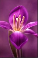 product-compare-58703366