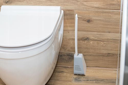 SZCZOTKA DO WC ”GOLF” na Arena.pl