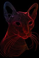 Plakat 68x101cm Cyfrowa Kocica