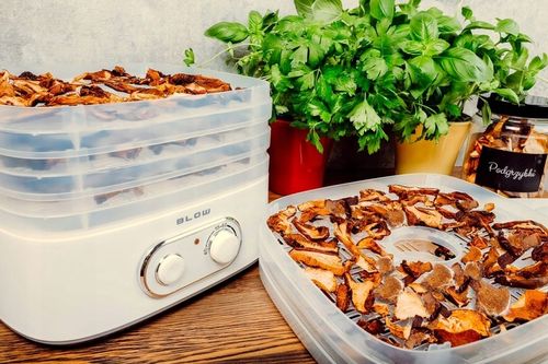 SUSZARKA DO GRZYBÓW OWOCÓW WARZYW RYB REGULACJA 5 SIT na Arena.pl