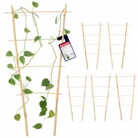 PERGOLA PODPORA DRABINKA BAMBUSOWA 43 CM 5 SZT