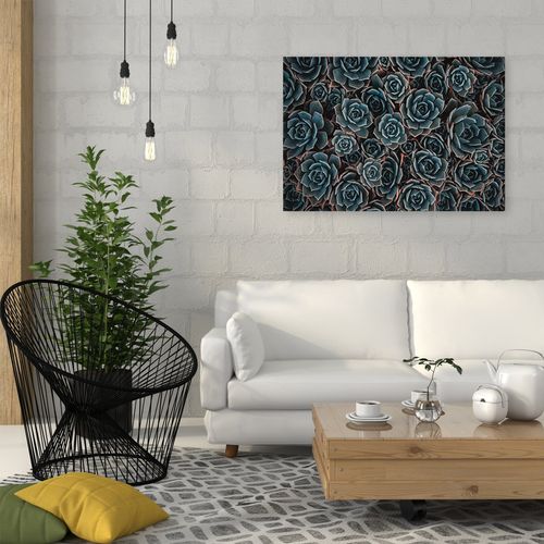 Deco Panel, Agawa meksykańska 60x40 na Arena.pl