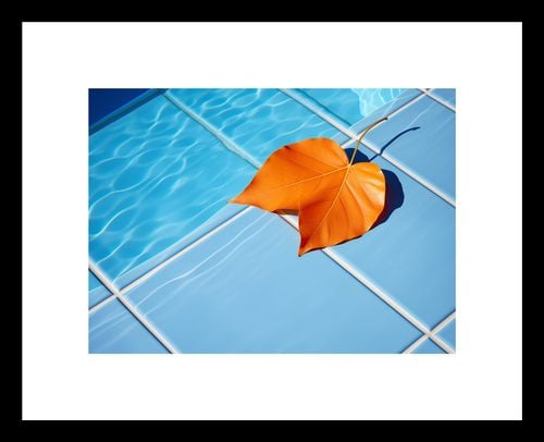 Plakat 18x13cm Liść przy Wodzie na Arena.pl